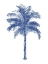 Picture of PALM BLUE II