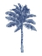 Picture of PALM BLUE I