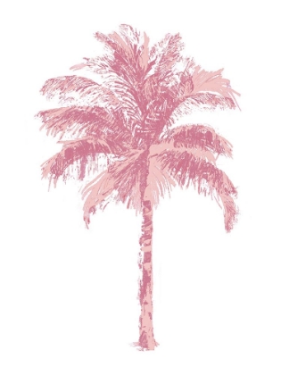 Picture of PALM PINK II