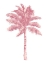 Picture of PALM PINK I