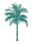 Picture of PALM GREEN II
