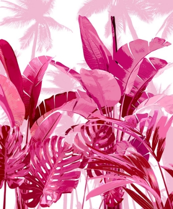 Picture of PALM FOREST PINK II
