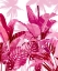Picture of PALM FOREST PINK II