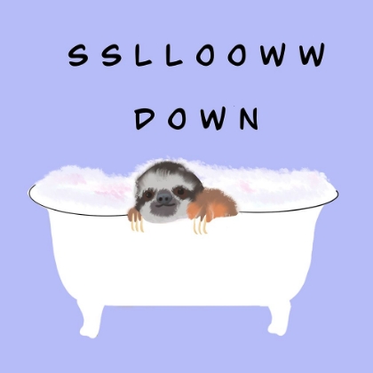 Picture of SLOW DOWN