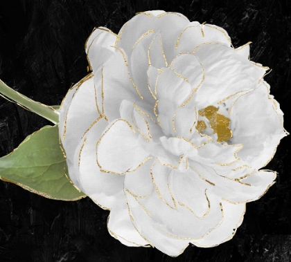 Picture of GILDED PEONY II