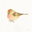 Picture of WATERCOLOR BIRDS III