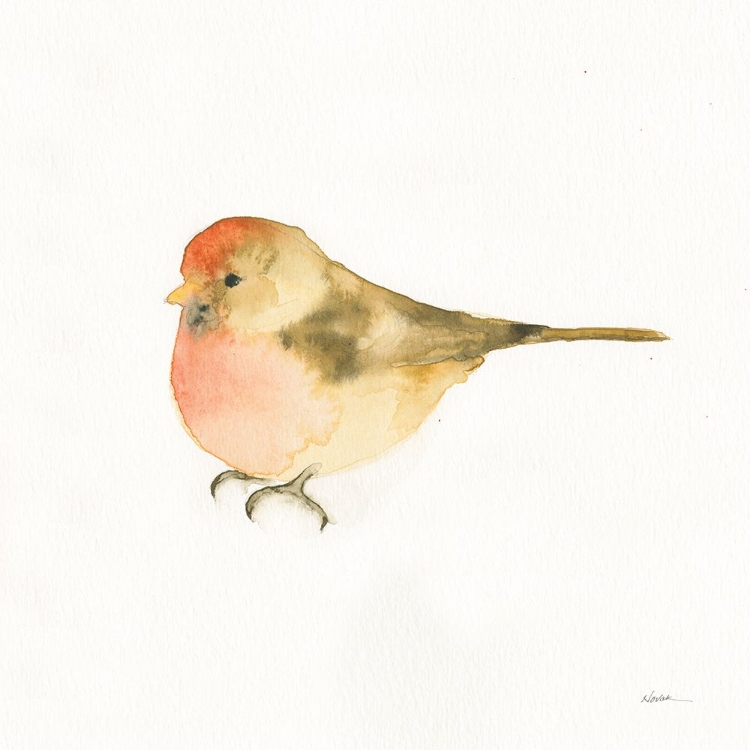 Picture of WATERCOLOR BIRDS III