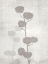 Picture of MODERN COTTON 1