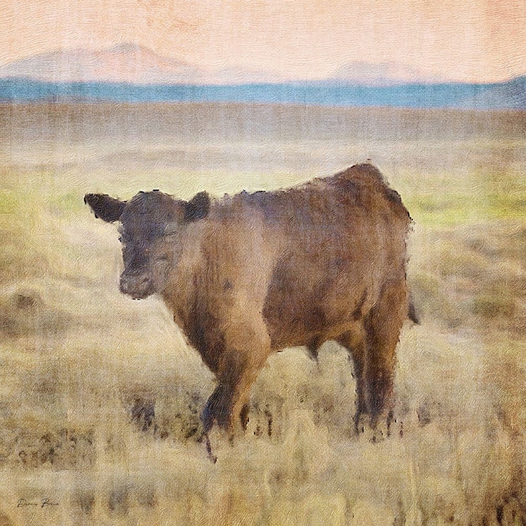 Picture of COW