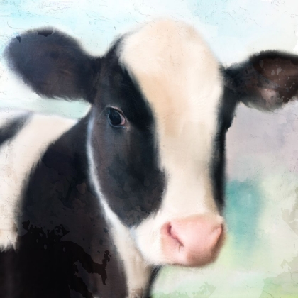 Picture of BABY COW