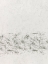 Picture of SPIRES 2