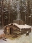 Picture of CABIN IN THE WOODS