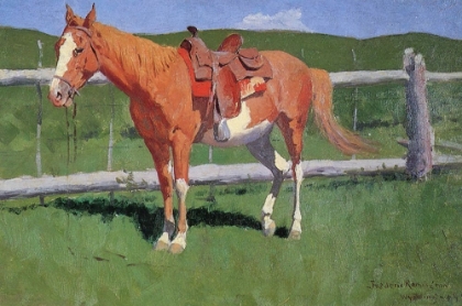 Picture of HORSE STUDY-WYOMING