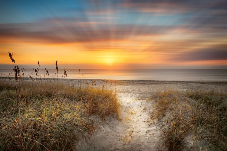 Picture of SANDY WALK AT THE DUNES