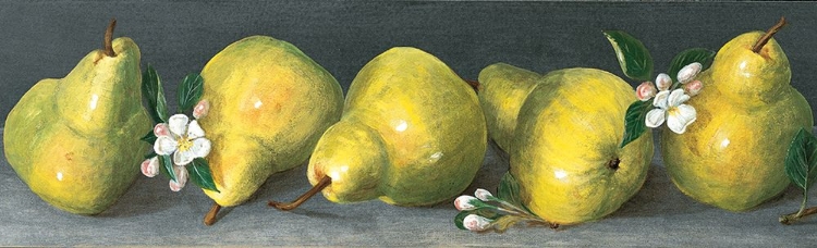 Picture of PEAR PANEL