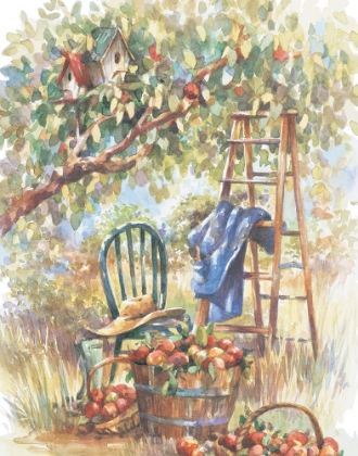 Picture of APPLE PICKING