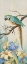 Picture of PARROT LOOKING DOWN
