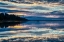 Picture of LAVENDER MORNING