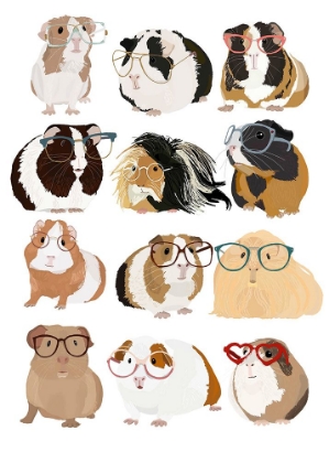 Picture of GUINEA PIGS IN GLASSES