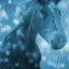 Picture of BLUE BUBBLE HORSE
