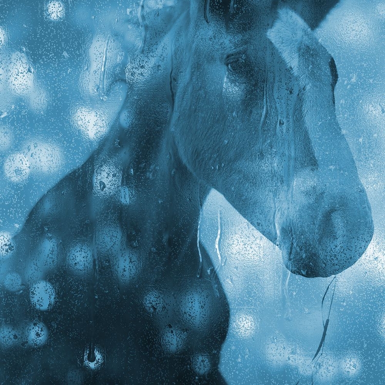 Picture of BLUE BUBBLE HORSE