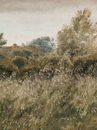 Picture of FLOWERS IN THE FIELD II