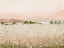 Picture of DAYDREAMING