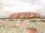 Picture of ULURU