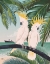 Picture of WELCOME TO PARADISE IX