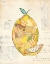Picture of LEMON