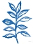 Picture of NATURE IN BLUE II