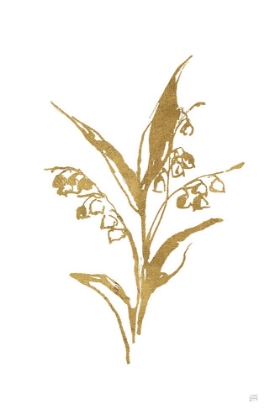 Picture of GOLD LINE LILY OF THE VALLEY I