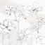 Picture of PEACEFUL PETALS VIII NEUTRAL