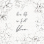 Picture of PEACEFUL PETALS X NEUTRAL