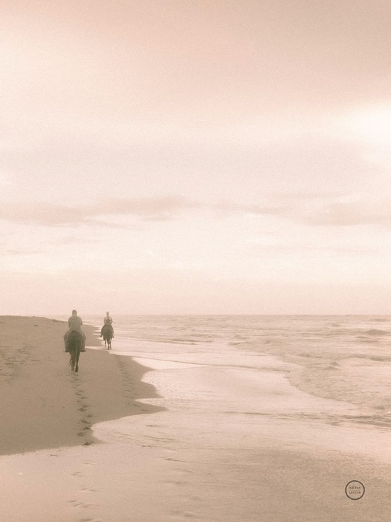 Picture of HORSES ON THE BEACH CROP