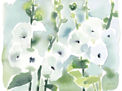 Picture of WHITE HOLLYHOCKS