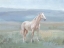 Picture of MOUNTAIN MARE