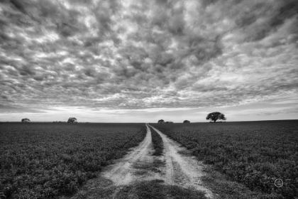 Picture of FARM ROAD