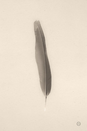 Picture of FLOATING FEATHERS II SEPIA