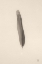 Picture of FLOATING FEATHERS II SEPIA
