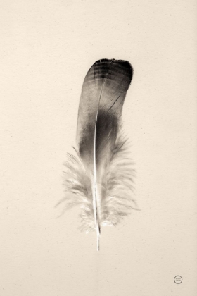 Picture of FLOATING FEATHERS IV SEPIA