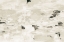 Picture of STEPS ON STONES III NEUTRAL