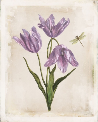 Picture of ANTIQUARIAN BLOOMS III PURPLE