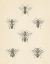 Picture of BEE CHART II