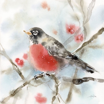 Picture of WINTER ROBIN