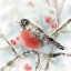 Picture of WINTER ROBIN
