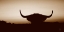 Picture of BULL SET SEPIA CROP