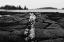 Picture of STONY SHORE