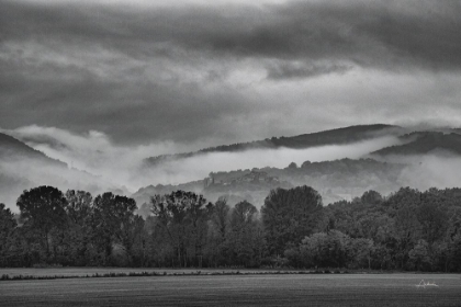 Picture of VILLAGE IN THE FOG