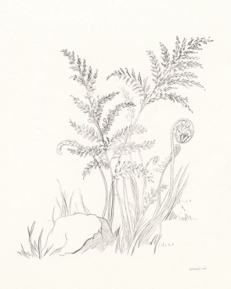 Picture of NATURE SKETCHBOOK VI